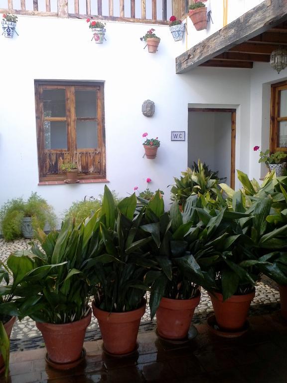 Cuevas Pedro Antonio De Alarcon Apartment Guadix Exterior foto